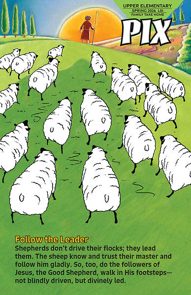 Bible in Life Upper Elementary PIX Spring