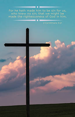 Picture of Who Knew Worship Bulletin PKG 100