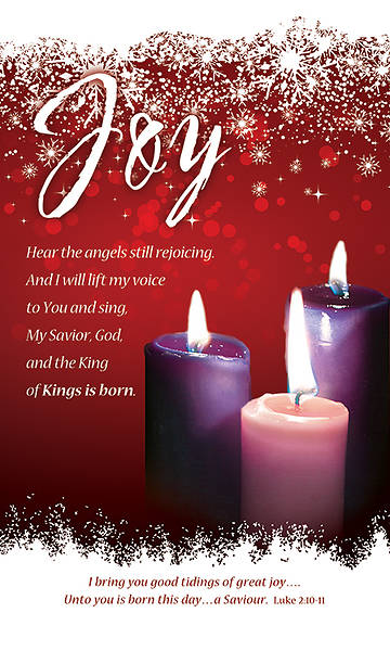 Picture of Joy Advent Week 3 Banner 3 X 5 Fabric