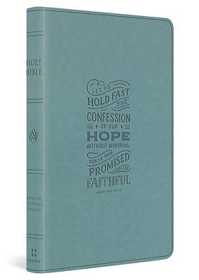 Picture of ESV Large Print Value Thinline Bible (Trutone, Paris Sky, Hebrews 10