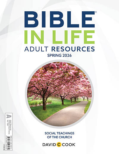 Bible in Life Adult Resources Spring