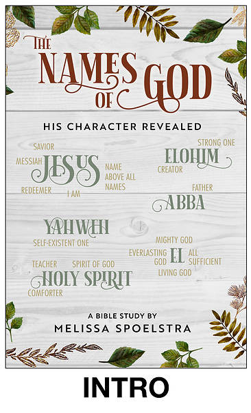 The Names of God Women's Bible Study Session Video