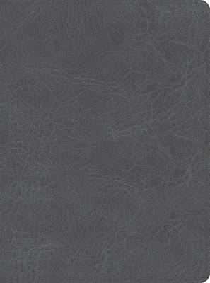 CSB He Reads Truth Bible, Smoke Leathertouch, Indexed