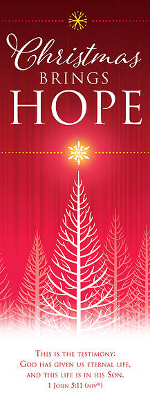 Picture of Christmas Brings Hope 2' x 6' Vinyl Banner 1 John 5:11 NIV