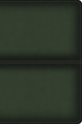 CSB Men's Daily Bible, Olive Leathertouch