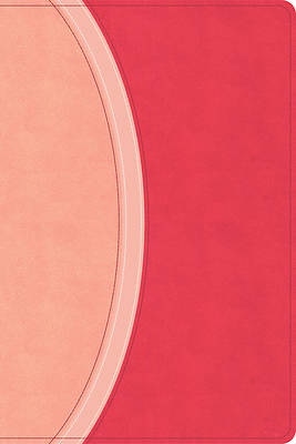 CSB Rainbow Study Bible, Pink Leathertouch (Limited Edition)