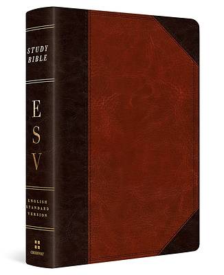 ESV Study Bible, Personal Size (Trutone, Brown/Cordovan, Portfolio Design)