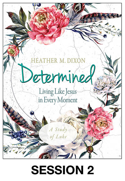 Picture of Determined - Women's Bible Study Streaming Video Session 2