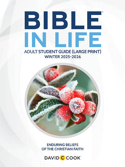 Bible in Life Adult Student Book Large Print Winter