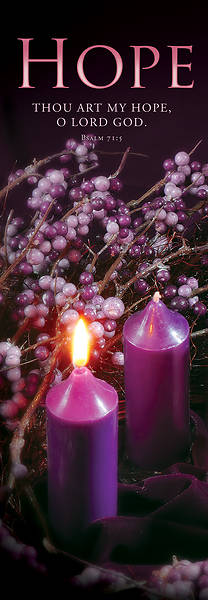 Banner Hope Advent 2 x 6 Fabric