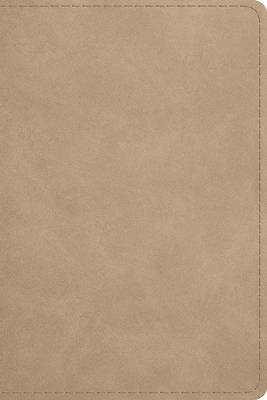 Picture of ESV Beholding Christ Bible