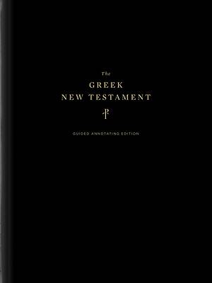 The Greek New Testament, Produced at Tyndale House, Cambridge, Guided Journaling Edition