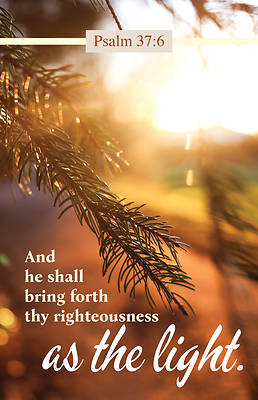 As the Light Worship Bulletin PKG 100