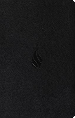 Picture of Premium Gift Bible-ESV-Flame Design
