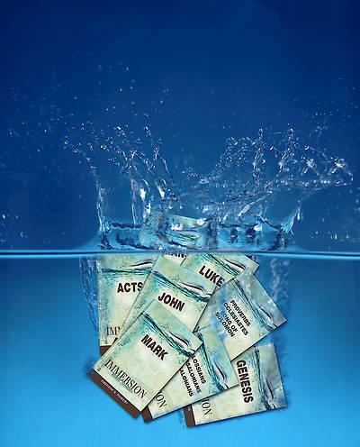 Immersion Bible Studies: Complete Set of 27 Volumes