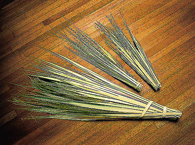 13 Inch Palm Strips - Pack of 100