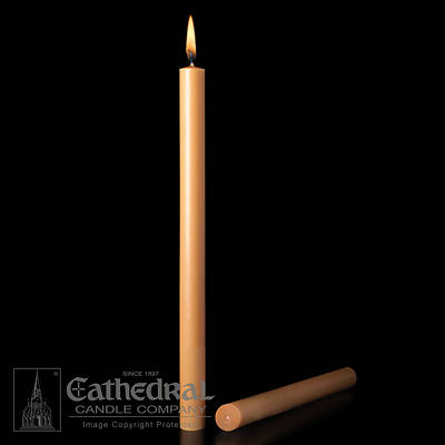 51% Beeswax Altar Candles Cathedral 12 x 1 1/4 Pack of 12 Plain End