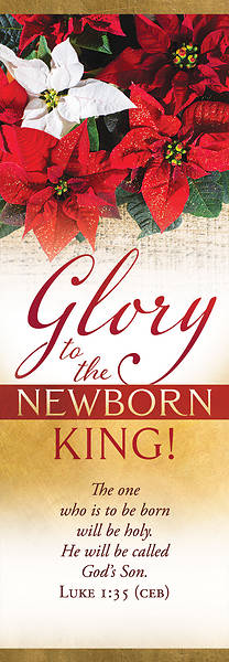 Picture of Banner Glory to the Newborn King Christmas 2 x 6 Vinyl