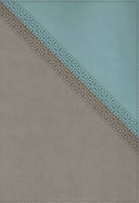 Picture of NIV Application Bible, Leathersoft, Teal/Grey, Red Letter, Thumb Indexed, Comfort Print