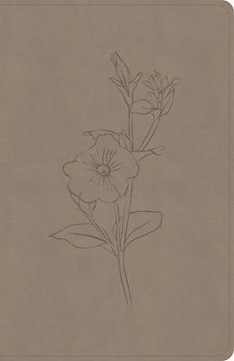 CSB Personal Size Giant Print Bible, Digital Study Edition, Earth Suedesoft Leathertouch