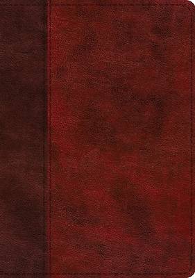 ESV Single Column Journaling Bible, Large Print (Trutone, Burgundy/Red, Timeless Design)