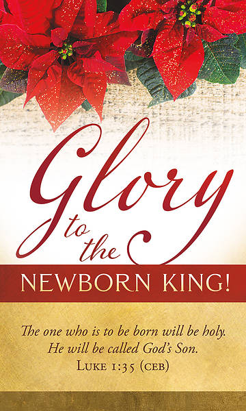 Picture of Banner Glory to the Newborn King Christmas 3 x 5 Fabric