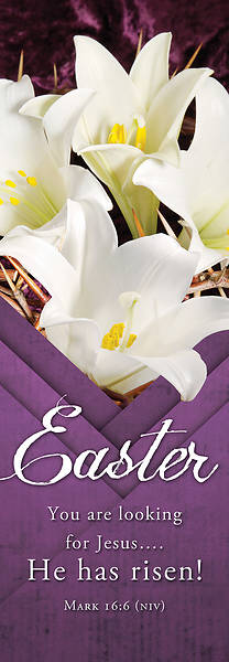 He Has Risen! Easter 2' x 6' Fabric Banner