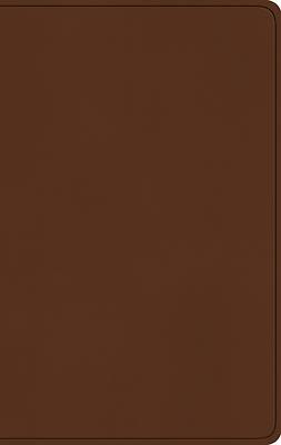 Picture of ESV Large Print Value Thinline Bible (Trutone, Camel)