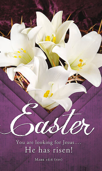 He Has Risen! Easter 3' x 5' Fabric Banner