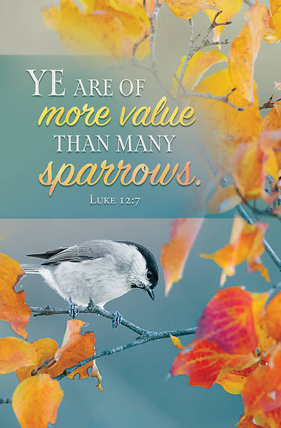 Picture of Ye are of More Value Inspirational Bulletin Regular