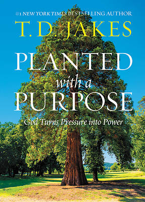 Picture of Planted with a Purpose