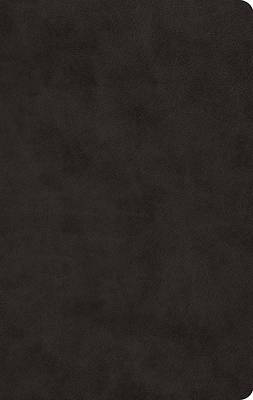 Picture of ESV Large Print Value Thinline Bible (Trutone, Black)