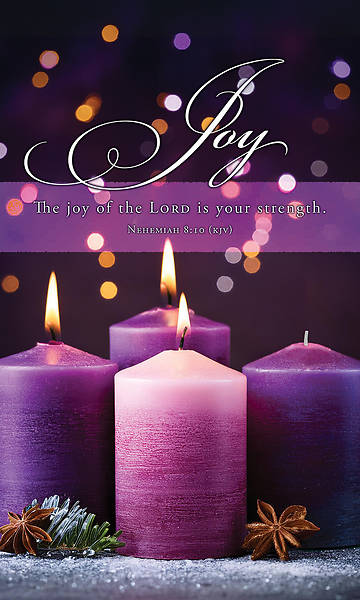 Banner Joy of the Lord Advent 3 x 5 Vinyl