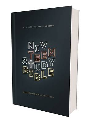 Niv Teen Study Bible