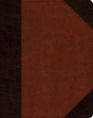 Picture of ESV Single Column Journaling Bible (Trutone, Brown/Cordovan, Portfolio Design)