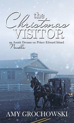 Picture of Christmas Visitor