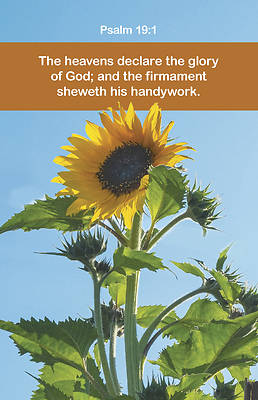 Picture of Declare the Glory of God Worship Bulletin PKG 100