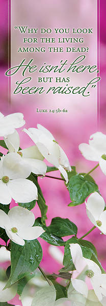 Picture of He Isn't Here Easter 2' x 6' Fabric Banner