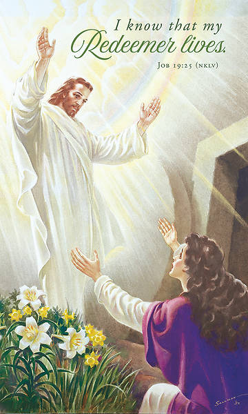 Picture of I Know My Redeemer Lives Easter Banner
