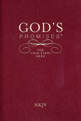 Picture of God's Promises for Your Every Need, NKJV