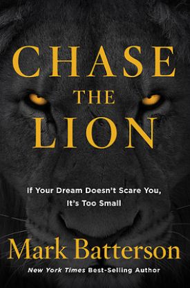 Picture of Chase the Lion
