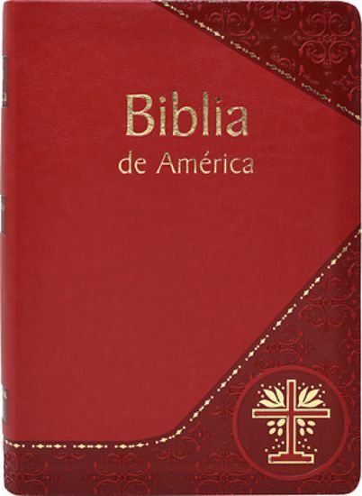 Picture of Biblia de America