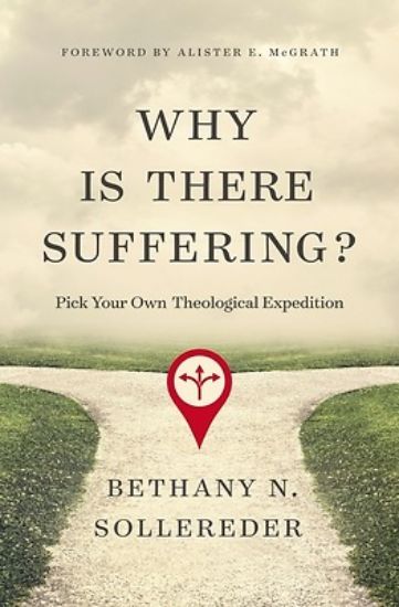 Picture of Why Is There Suffering?
