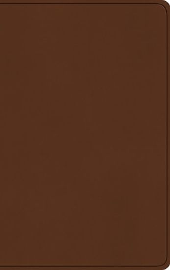 Picture of ESV Large Print Value Thinline Bible (Trutone, Camel)