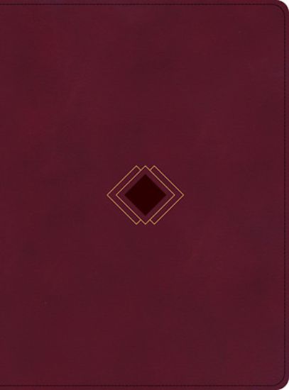 Picture of CSB Day-By-Day Chronological Bible, Burgundy Leathertouch