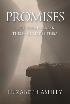 Picture of Promises