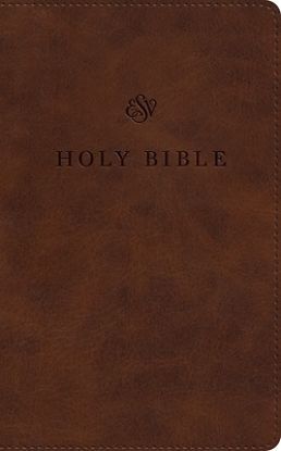 Picture of ESV Premium Church Bible, Large Print (Trutone, Brown)