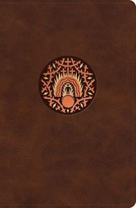 Picture of The Biggest Story Holy Bible for Kids (Trutone, Brown, Living Hope Design, Indexed)