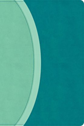 Picture of CSB Rainbow Study Bible, Teal Leathertouch (Limited Edition)