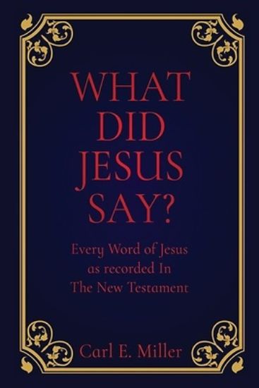 Picture of What Did Jesus Say?